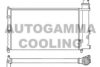 CITRO 1331JM Radiator, engine cooling